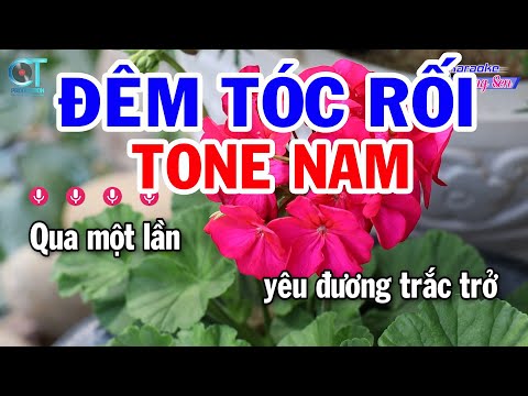 Karaoke Đêm Tóc Rối Tone Nam ( Dm ) Nhạc Sống Mới | Karaoke Đồng Sen