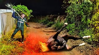 ELE CONSEGUIU DERRUBAR A MULA SEM CABEÇA COM ESPETO DE MADEIRA VIRGEM #mulasemcabeça 