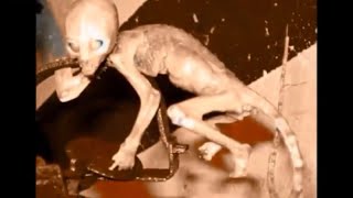 Access The Akashic Records To Find A Murder Victim