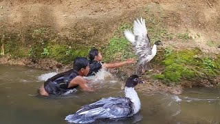 Life in jungle, Found  and Catch duck for survival food, Duck cooking So delicious food for dinner