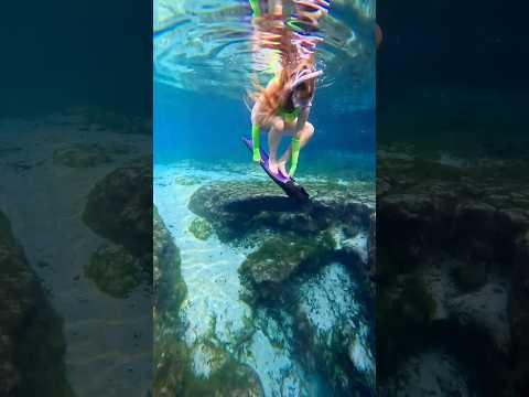 Definitely the stupidest way I almost lost my fins 🤣 thank you to my friend for finding it 🙈😅