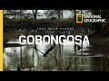 Gorongosa National Park and Women's Role in Conservation