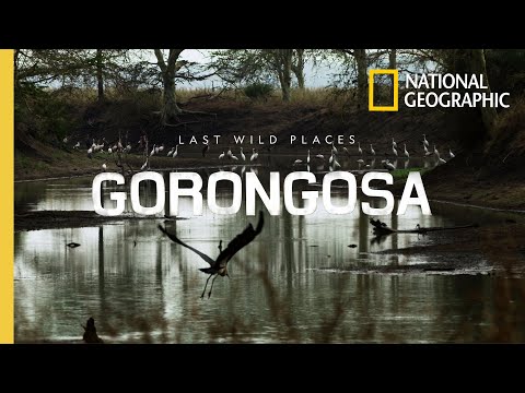 YouTube video thumbnail: Last Wild Places: Gorongosa
