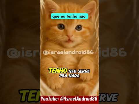 RESENHA DO GATO FELINO COM AS MELHORES PIADAS ENGRAÇADAS !!!