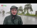 Bão số 3 và ứng phó