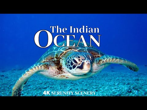 Indian Ocean 4K - Scenic Wildlife Film With Calming Music - Ambient Sea Sounds | Beautiful Locations