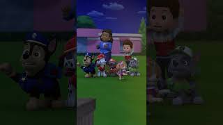 ¡Los cachorros ponen el ritmo! (Más o menos) #short