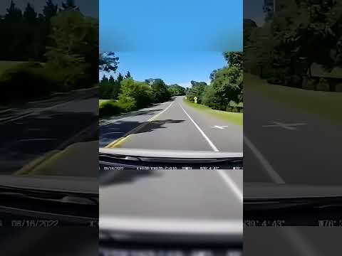 ПОЛИЦИЯ эпично пряталась в кустах🚦👮‍♀️