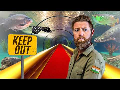 Private Tour of India’s Best Secret Aquarium