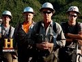 Logging Industry Insights