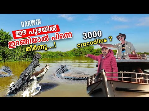 ഇത് മുതലയുടെ ലോകം  ഇവിടെ പെട്ടാൽ പെട്ടു  |Adelaide River Croc Cruises #australia #travel #malayalam