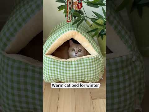 Warm cat bed for winter #cat #bestpetsupplies #catcare