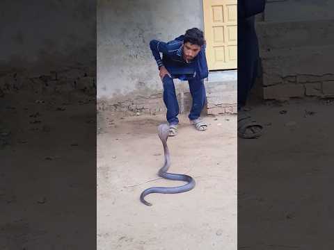 Ghar bilkul samny nagin ai hui Hy
