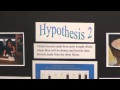 Hypotheses in Scientific Experiments