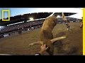 Understanding the Motivations in Bullfighting