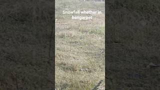 snowfall whether in bangarpet #bangarpet #snowfall #kolar #chill