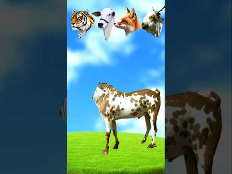 Goat🐐 Qurbani Mubarak #shorts #shortvideo #islamicvideo