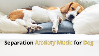 1 hour of deep separation #anxiety #music for #dog relaxation #video