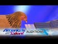 Joku's Musical Performance Analysis