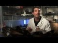 Career Insights in Science