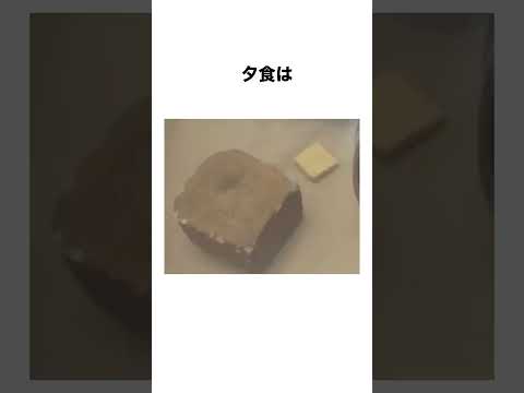 アウシュヴィッツ強制収容所の1日についての雑学