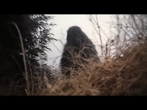 FINALLY!! THE MOST DISTURBING FOOTAGE EVER CAPTURED ON CAMERA IN THE WOODS!!