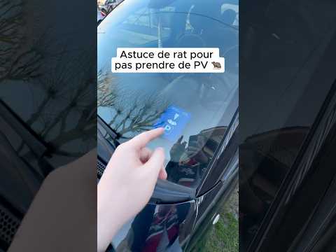 Astuce de rat pour pas payer le stationnement 🐀