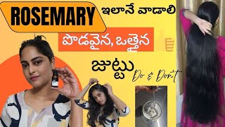 How to Use Rosemary Essential Oil for Hair Growth | Best Ways to Use Rosemary Essential Oil for hair
