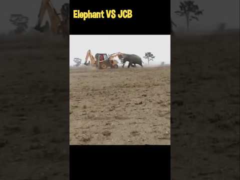 Elephant vs JCB | Elephant power Attack #shorts #elephant #trending