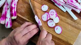 Harvesting Bizarre Radishes!