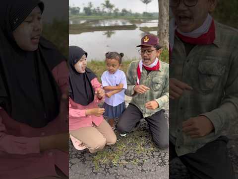 WADUH SI EIS LAGI APA