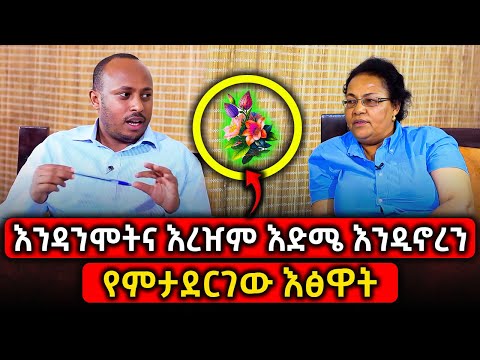 Ethiopia: እንዳንሞትና እረዠም እድሜ እንዲኖረን የምታደርገው እፅዋት