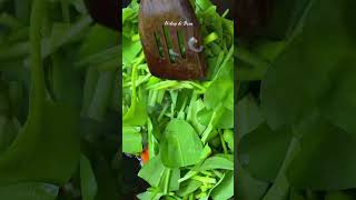 Masak tumis genjer dapet di sawah #countrysidevlog #cooking #hidupdidesa #food #suasanakampung