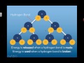 Properties and Bonds of Water