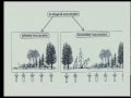 Ecological Succession Concepts