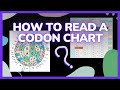 Codon Charts and RNA Transcription