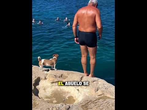El perro saltó al mar con su dueño🐶❤️#dog #love #pets #shorts