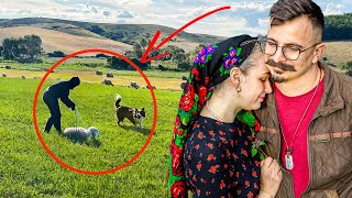 Nagy Bejelentés És Báránydráma – Indul A Farm Reality!
