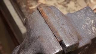 Vise vs 6 Months Of Rain!! Short
