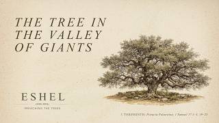Eshel: Terebinth | Preaching the Trees | FPC Dallas