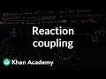 Understanding Glucose Phosphorylation and Enzyme Facilitation