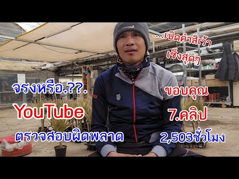 จริงหรือ.YouTube.??.7คลิป2,503ชั่วโมง.ขอบคุณทุกๆการสนับสนุน.บ่าวแมนแดนอีสาน