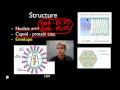 Exploring the Characteristics and Life Cycles of Viruses