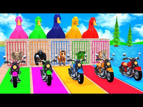 Long Slide Game with Cow Elephant Gorilla Hippopotamus Tiger 3d Animal Game Funny 3d Animals