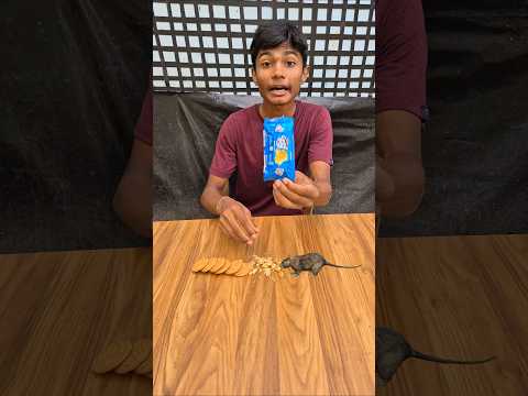 Recycled good day biscuit #shorts #shortvideo