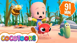 Insetos pequeninos  🐜🐛🐝 Músicas infantis de Cleo e Cuquin