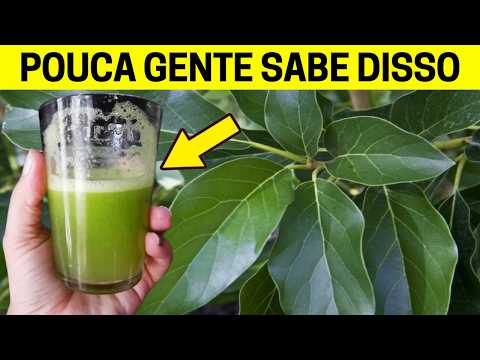 1 Folha Destrói Diabetes, Inchaço, Limpa os Rins, Fígado e Normaliza a Pressão Alta (Sabia disso?)