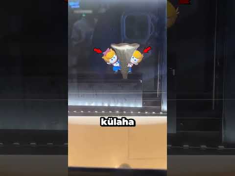 Japonya'nın Pahalı Dondurma Şovu