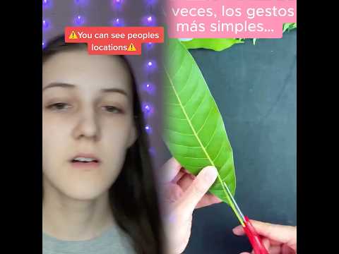 Reply to @emilymatti07 #pov you have the power to see people’s locations #amelietpovs