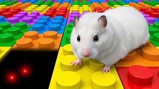 DIY NEW LEGO Hamster Maze | Best Compilation